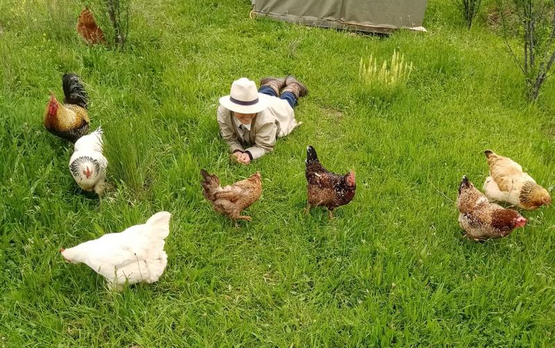 3 Bedroom Property for Sale in Oudtshoorn Rural Western Cape